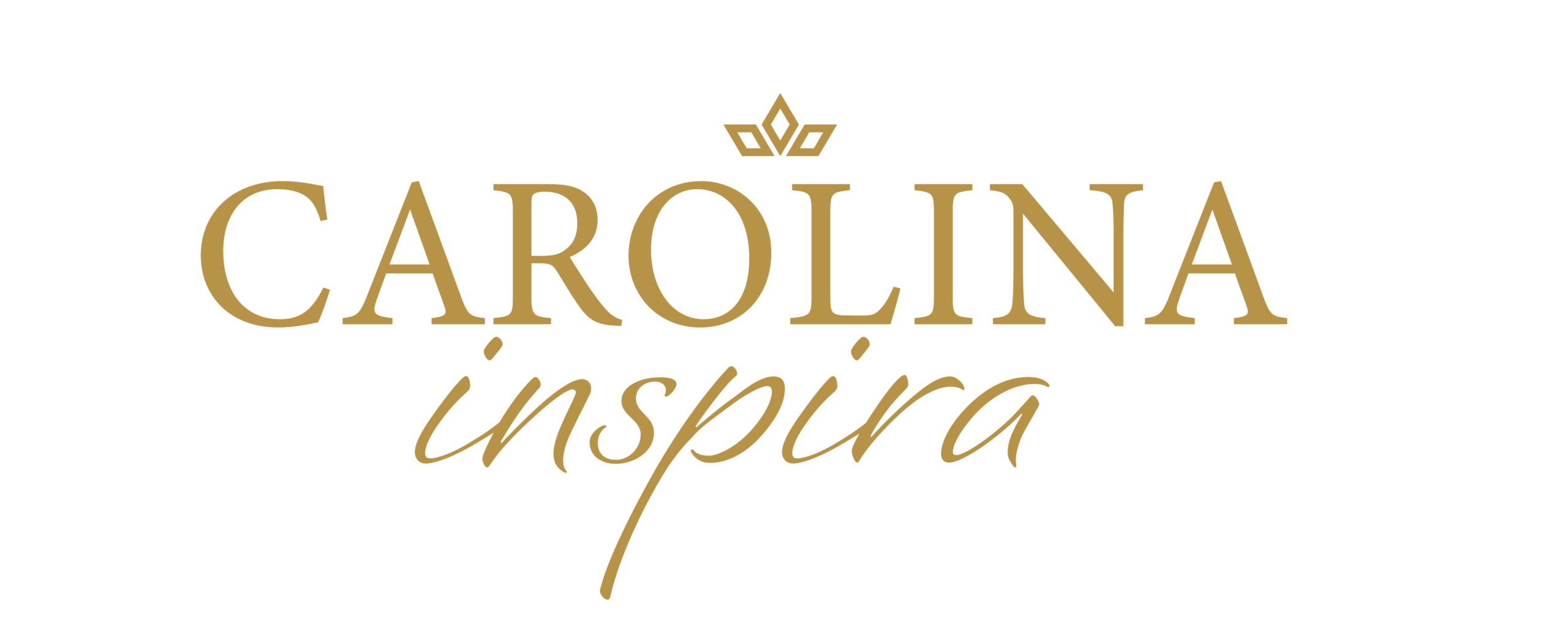 carolinainspirausa.com